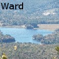 VLWard